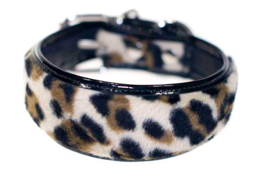 Black snow leopard faux fur hound collar