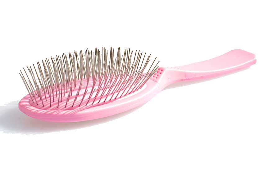 Pink Madan pin brush Dog Moda