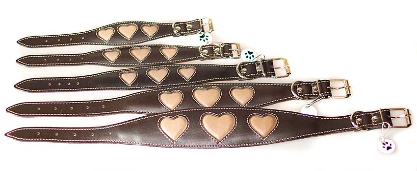 Whippet puppy collar size guide from Dog Moda
