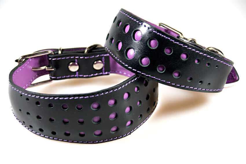 Elegant Violet Purple collar in size S and size M