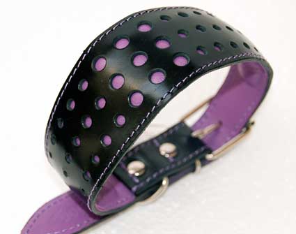Elegant Violet Purple collar