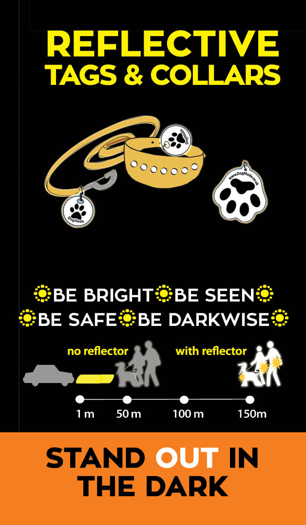 Be bright! Be seen! Walk safe!