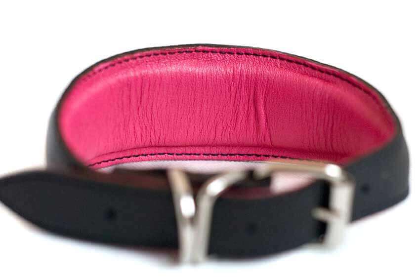 All Dog Moda collars are fully padded and lined