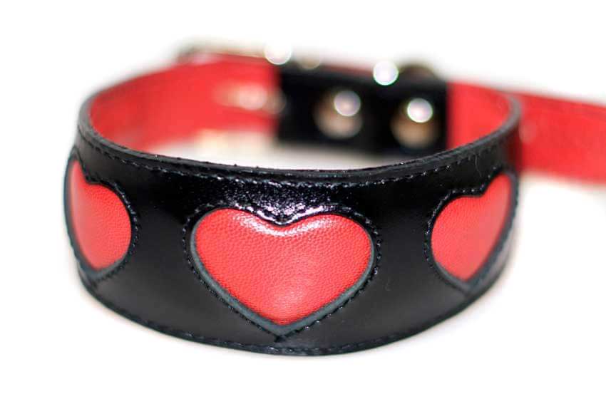 Red hearts hound collar. Soft, padded and lined with real leather
