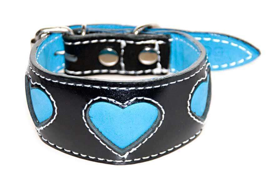 Turquoise hearts hound collar