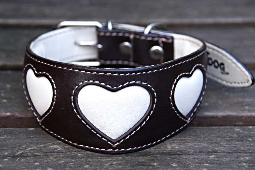 Soft padded brown leather sighthound collar with cream hearts