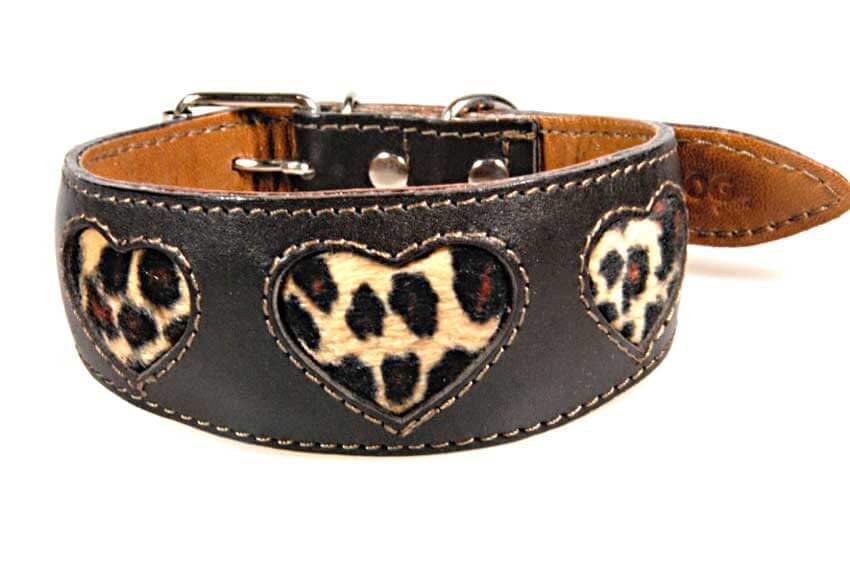 Soft padded brown leather hound collar with gold leopard hearts