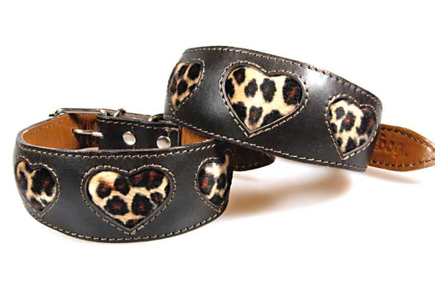 Soft padded brown leather hound collars with gold leopard hearts