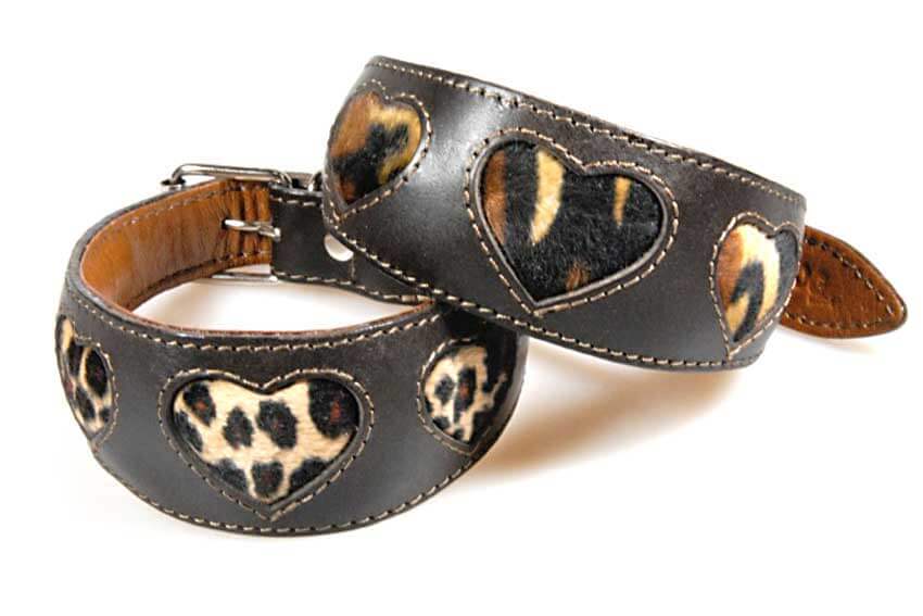 Leopard hearts and tiger hearts padded hound collars