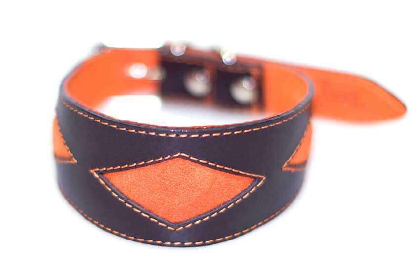 Brown leather hound collar with orange rhombi