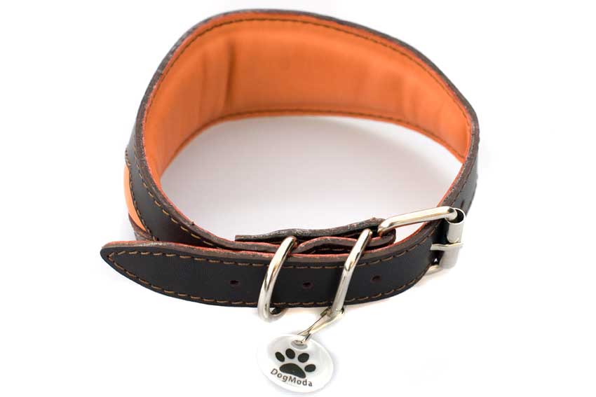 All Dog Moda hound collars are fully lined and padded for ultimate comfort