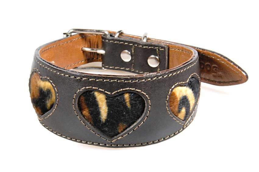 Tiger hearts hound collar - Brown leather hound collar with tiger hearts