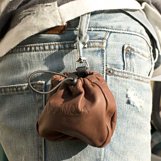 Dog treat bag clipped to your jeans