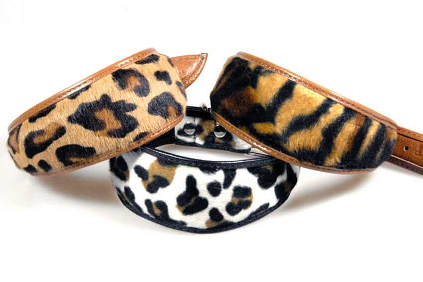 Safari range of sighthound collars from Dog Moda, London