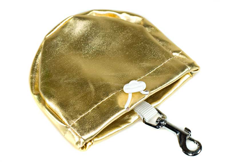 Gold leather treat bag comes with handy clip and drawstring closure