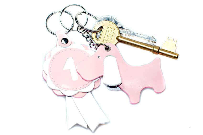 Baby pink show rosette and cute dog key chains