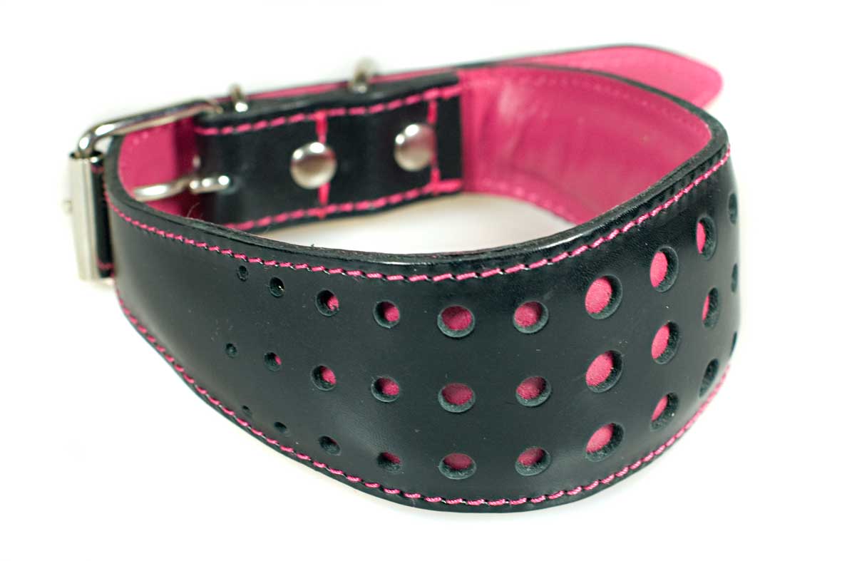 Elegant fuchsia pink hound collar