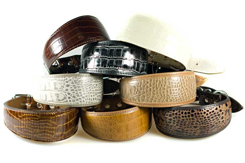Safari range of snake leather sighthound collars from Dog Moda