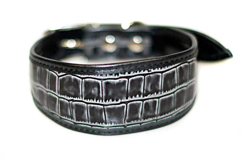 Grey leather hound collar