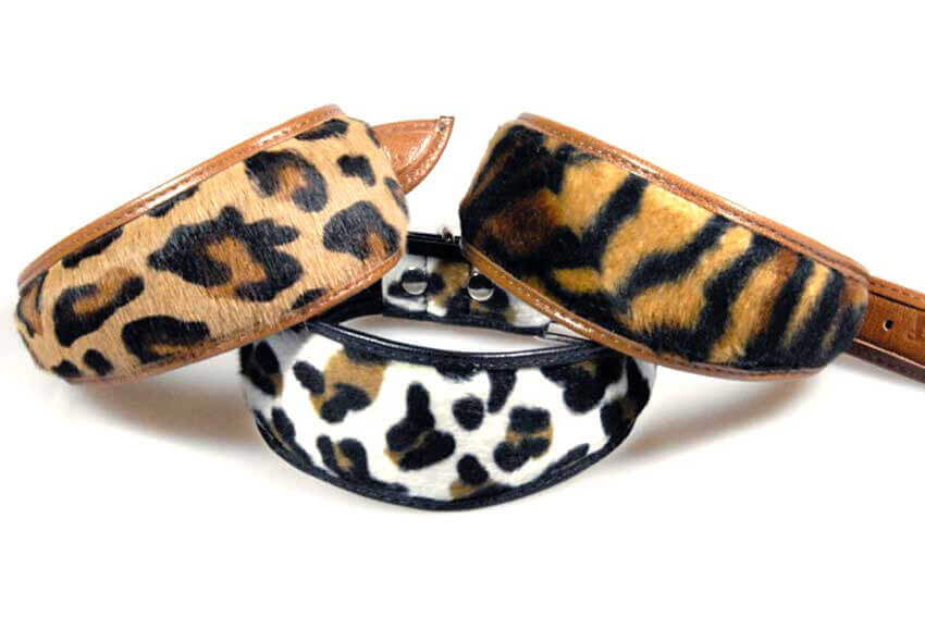 Big cats of the Safari range - Amur Tiger and Black Leopard collars