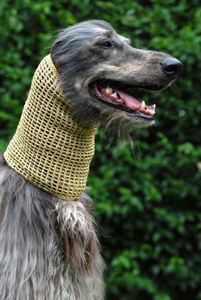Afghan hound in sparkle metallic crochet snood