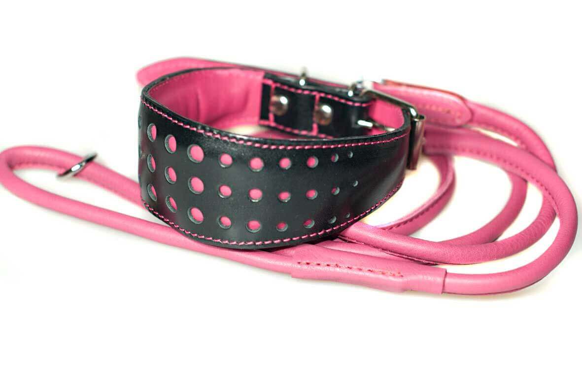 Elegant pink collar with orange rolled leather lead