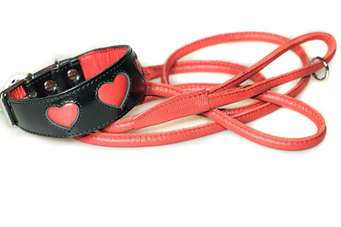 Red hearts collar with red rolled leather lead