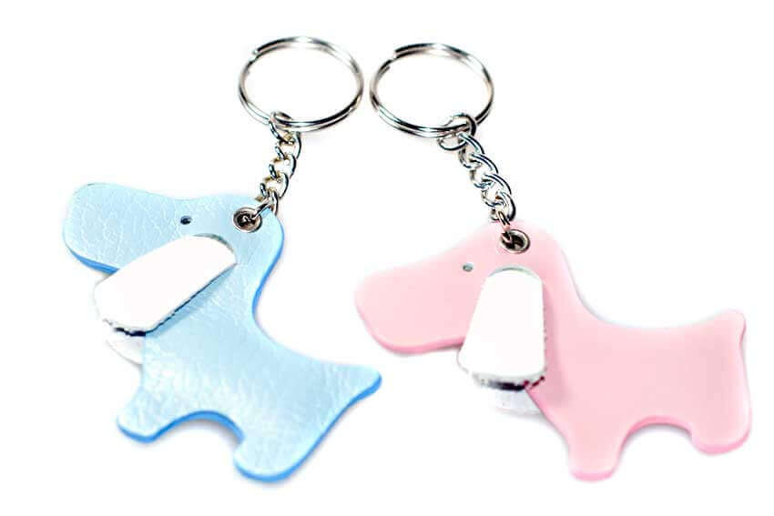 Blue and pink leather dog key chains
