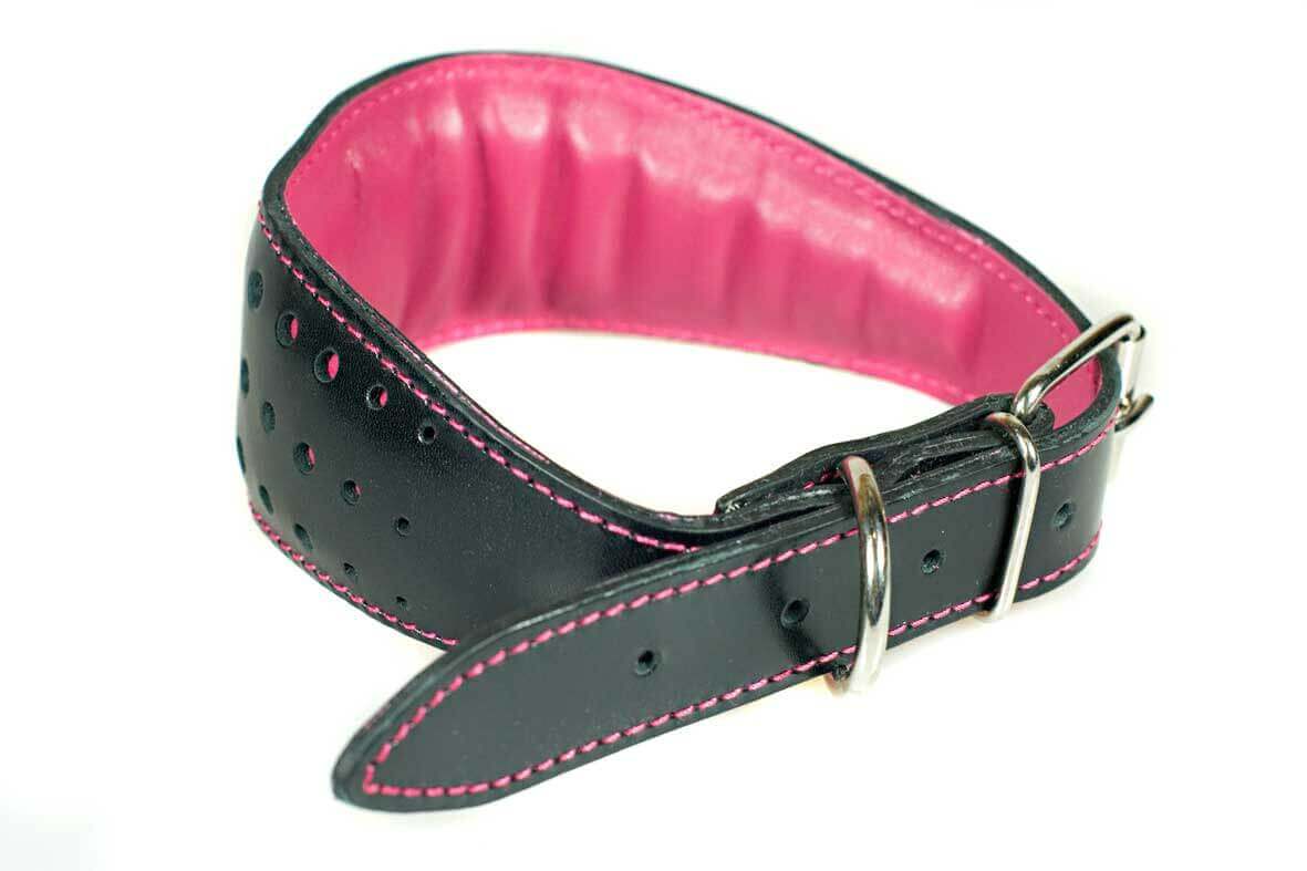 All Dog Moda hound collars are fully lined and padded