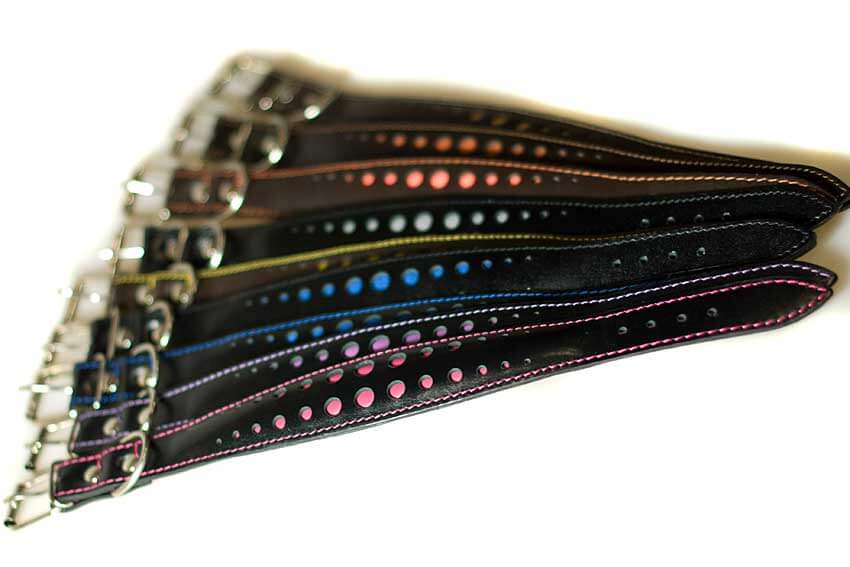 Elegant whippet collar range is available in different colours
