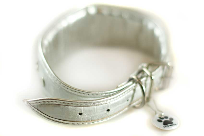 Silver stars hound collar is fully padded and lived with soft silver leather