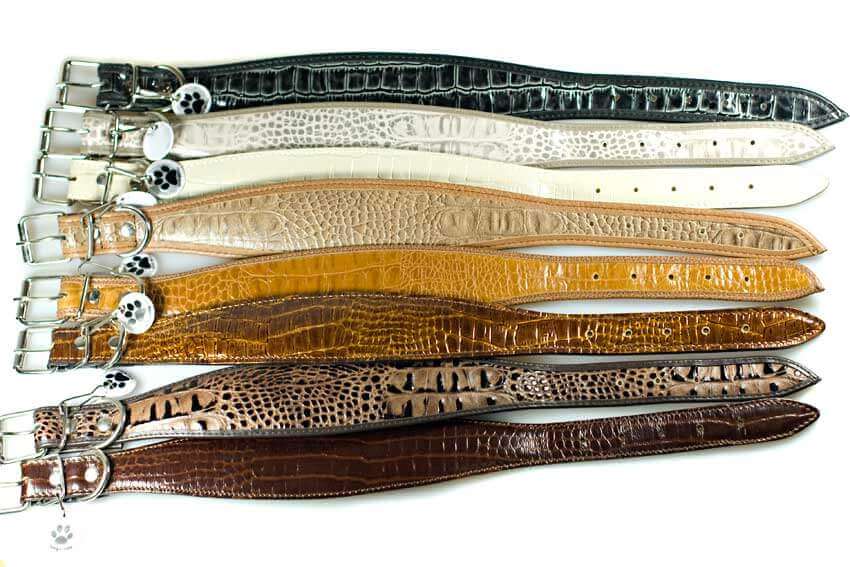 Safari range of snake imitation leather collars