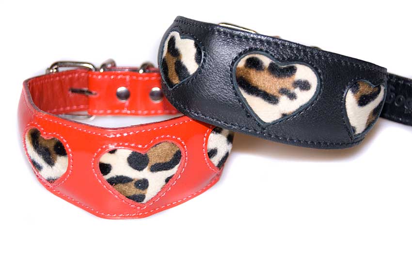 Leopard hearts whippet collars ar also available in patent red leather