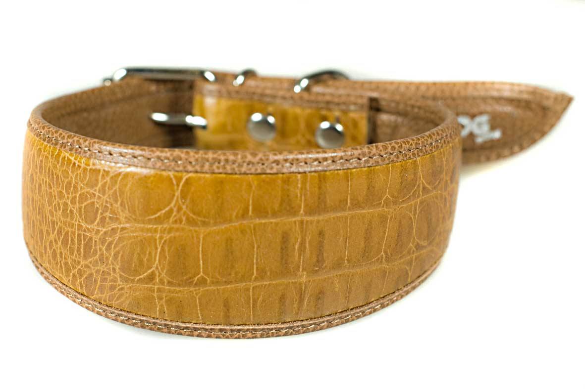 Jackal brown leather hound collar