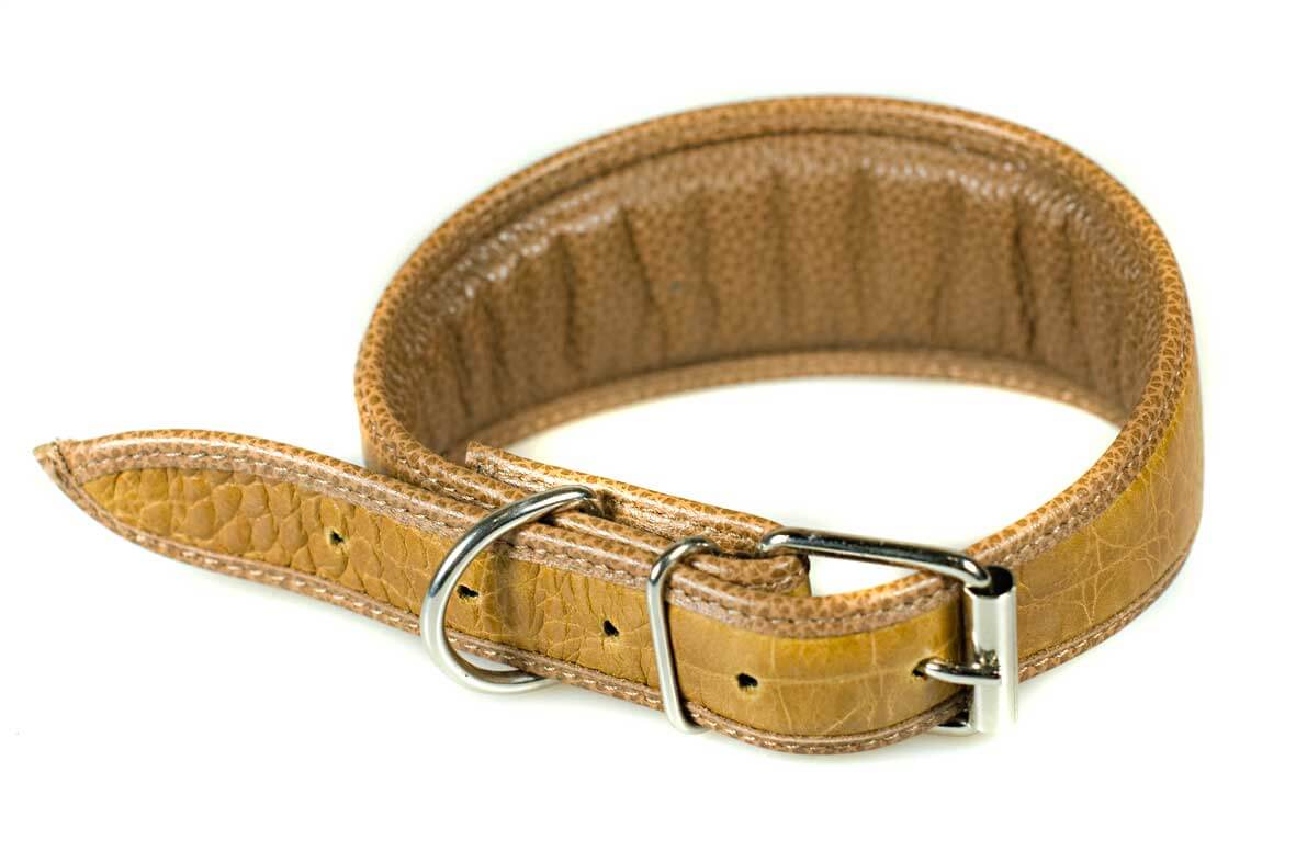 All Dog Moda collars are fully lined and padded for ultimate comfort