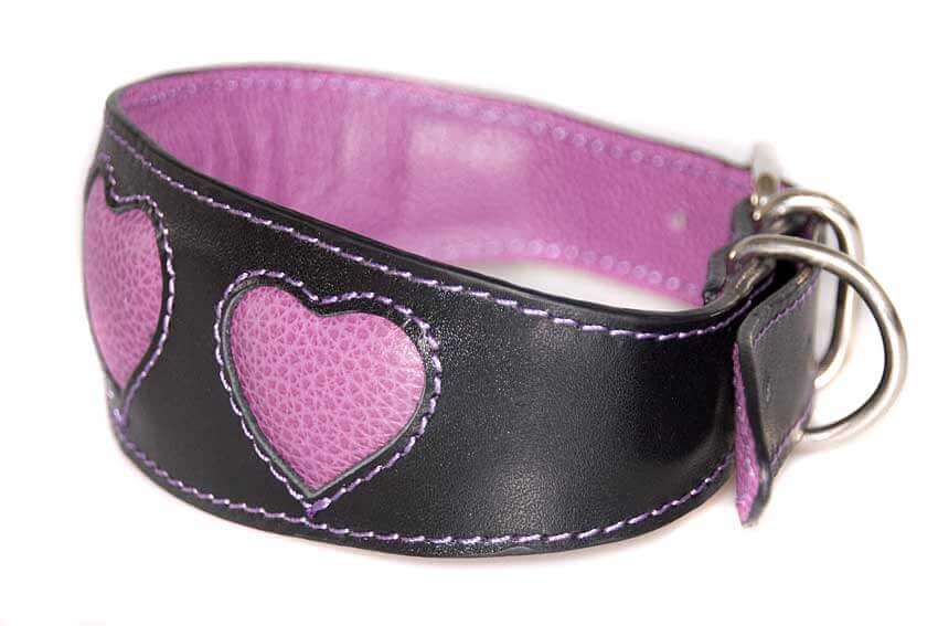 Lilac hearts sighthound collar with matching leather lining and padding