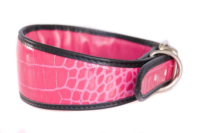 All Dog Moda sighthound collars have quality hardware tested on our own Afghan hounds