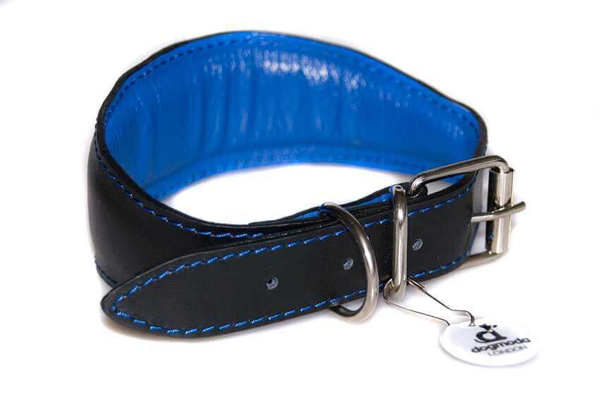 Dog Moda MOD / RAF pilot leather sighthound collar - fully padded and lined for extra comfort