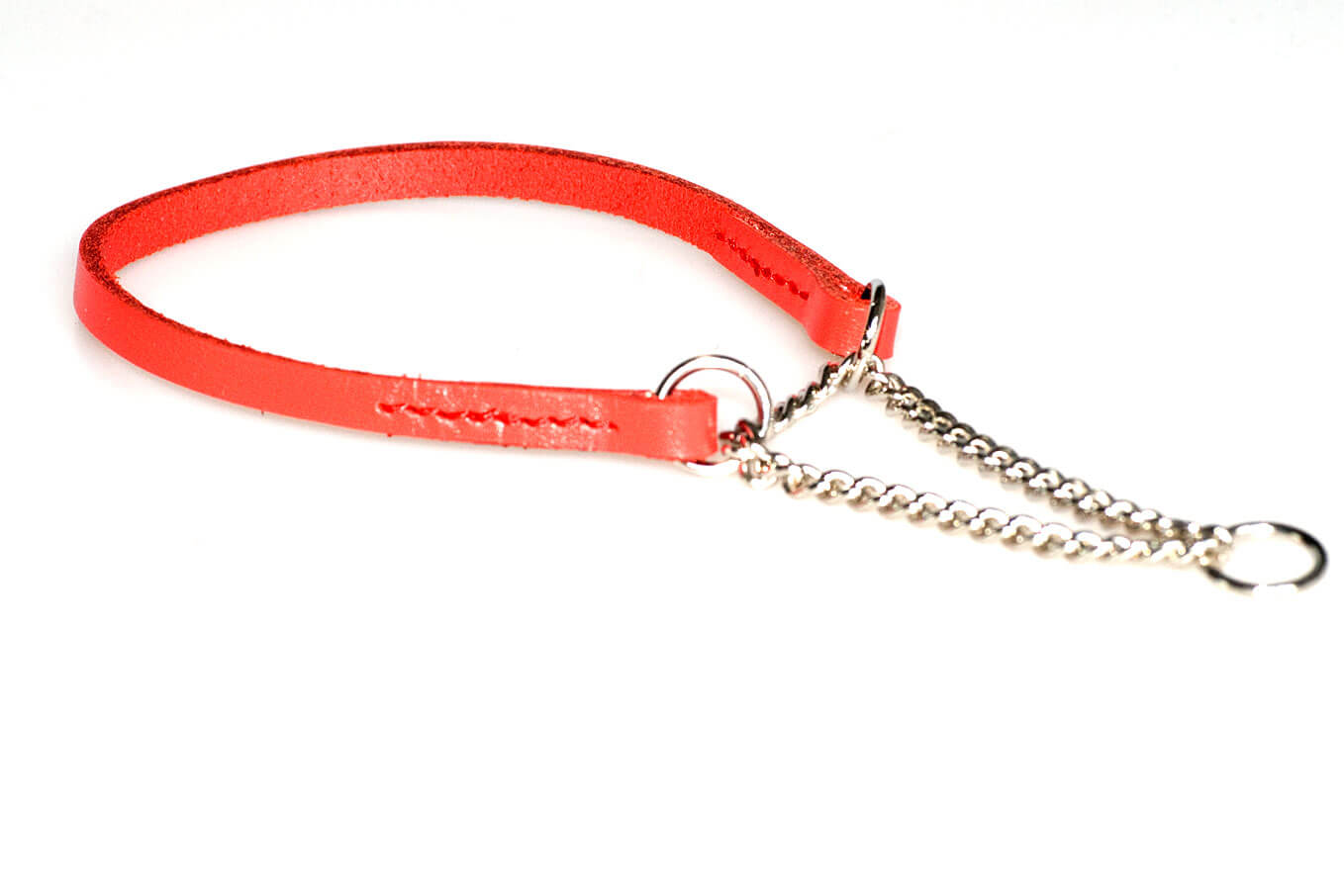 Red leather martingale dog show collar