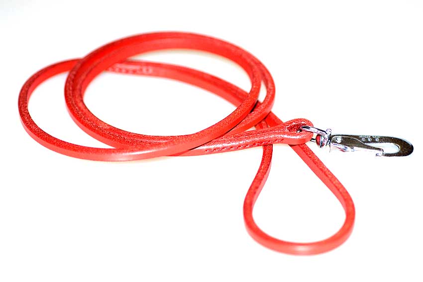 Red leather show dog lead
