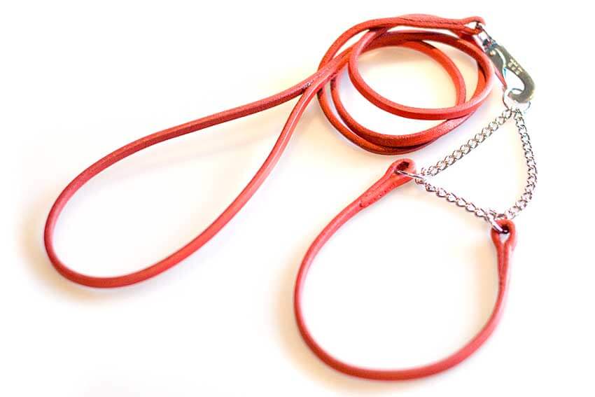 Red leather dog show set, consists of red leather martingale dog show collar and leather dog show lead