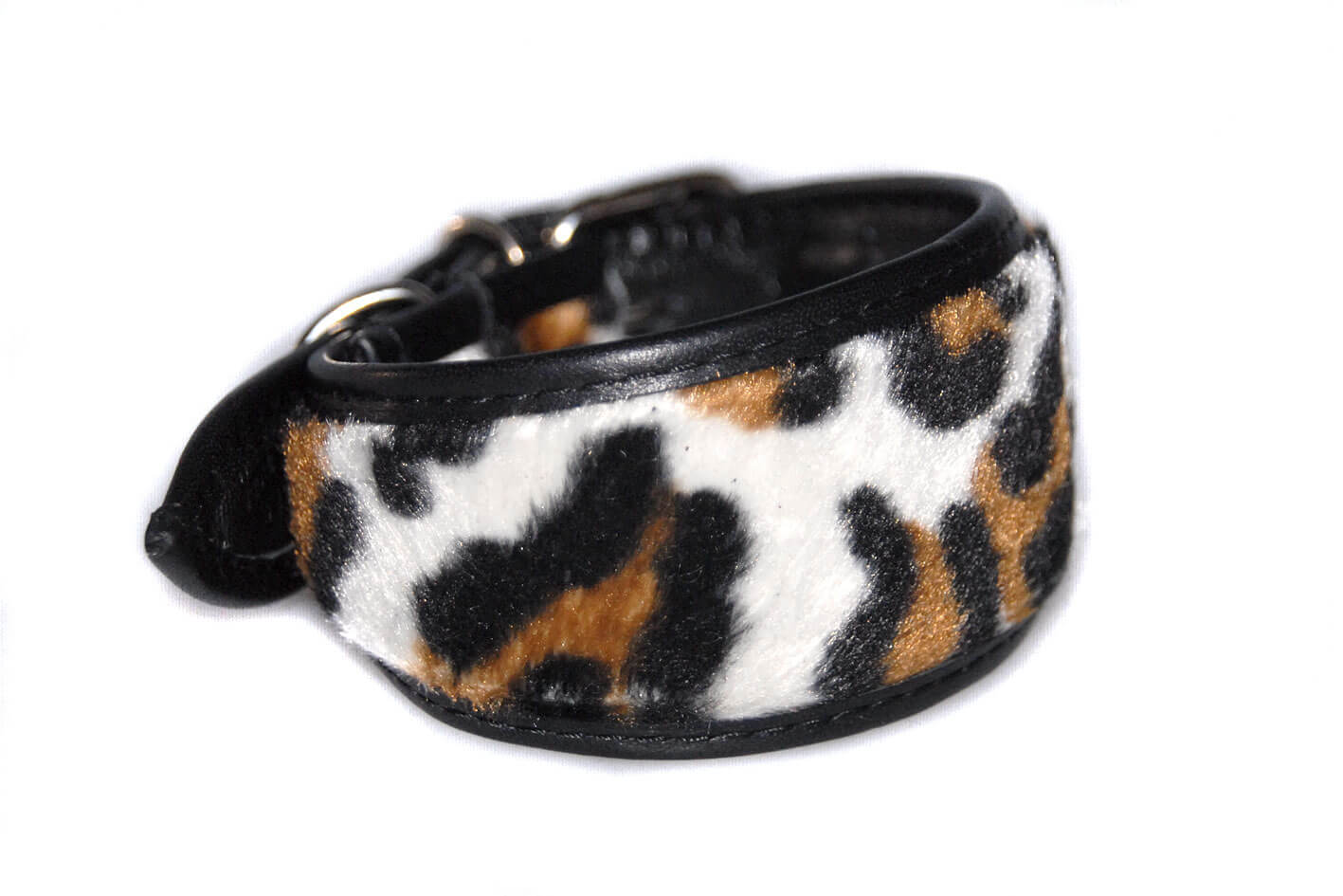 Black leopard whippet collar is available in size XS to fit smaller WHippets, puppies and Italian Greyhounds