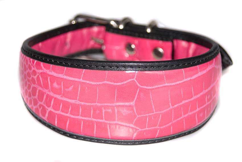 Pink leather whippet collar from Dog Moda's Safari range
