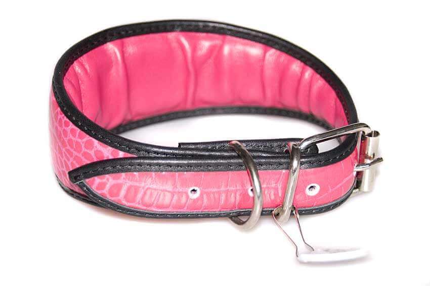All whippet and greyhound collars are fully lined with soft leather and padded for extra comfort