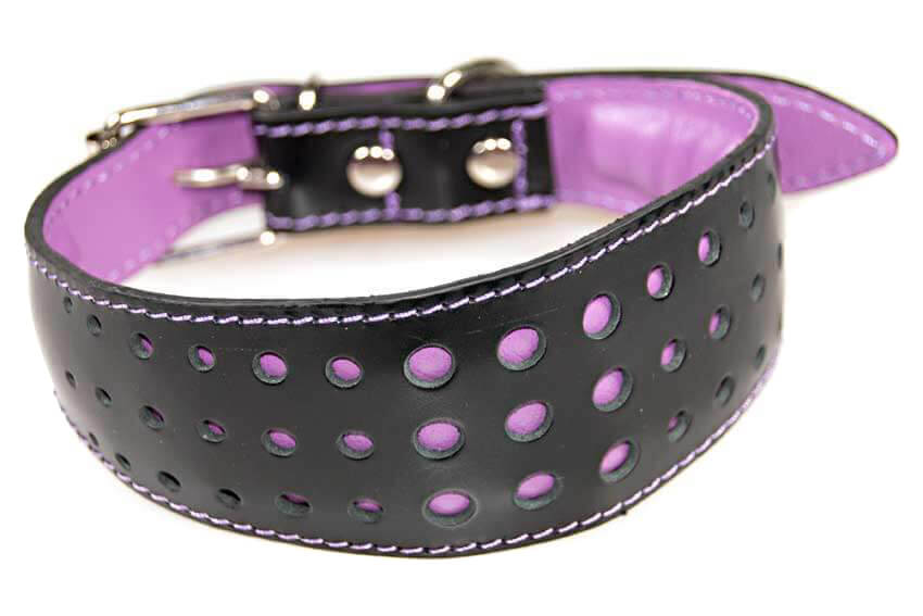 Purple leather lurcher collar