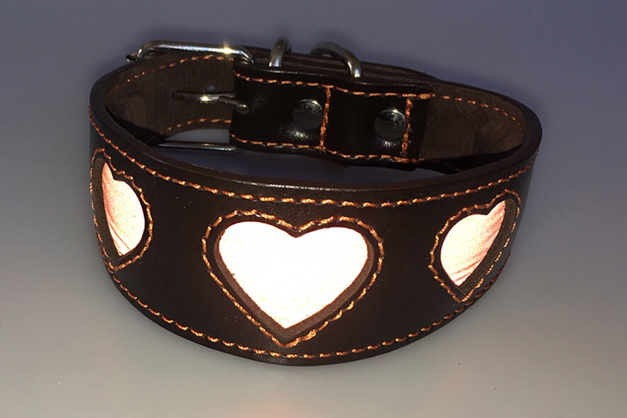 Orange reflective hearts hound collar in flashlight