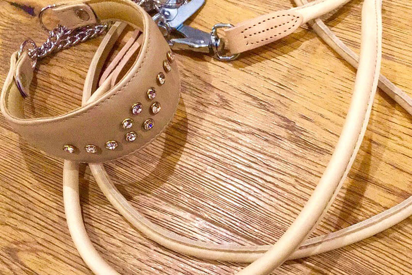 Premium rolled lead in beige with matching Swarovsky whippet collar