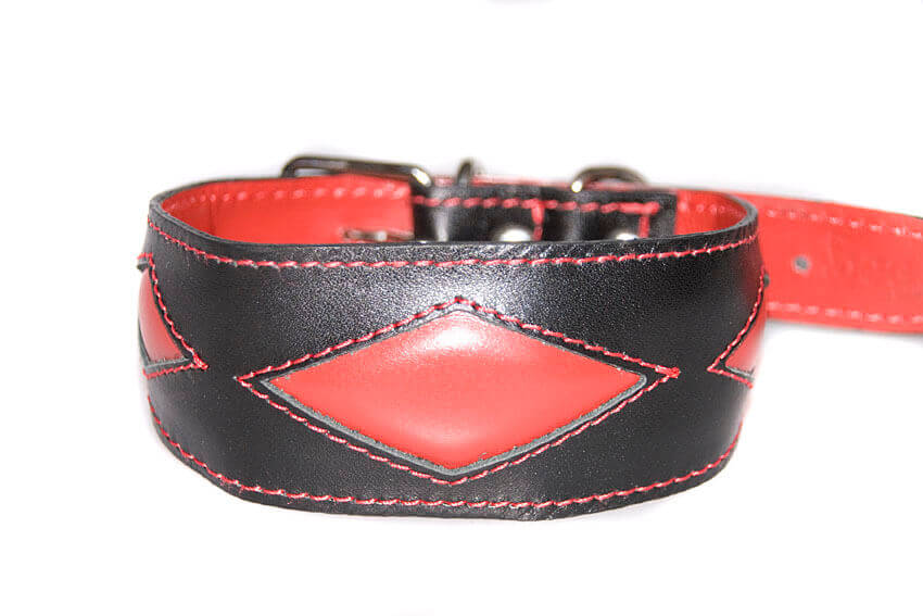 Red rhombi hound collar is a popular choice for male sighthound