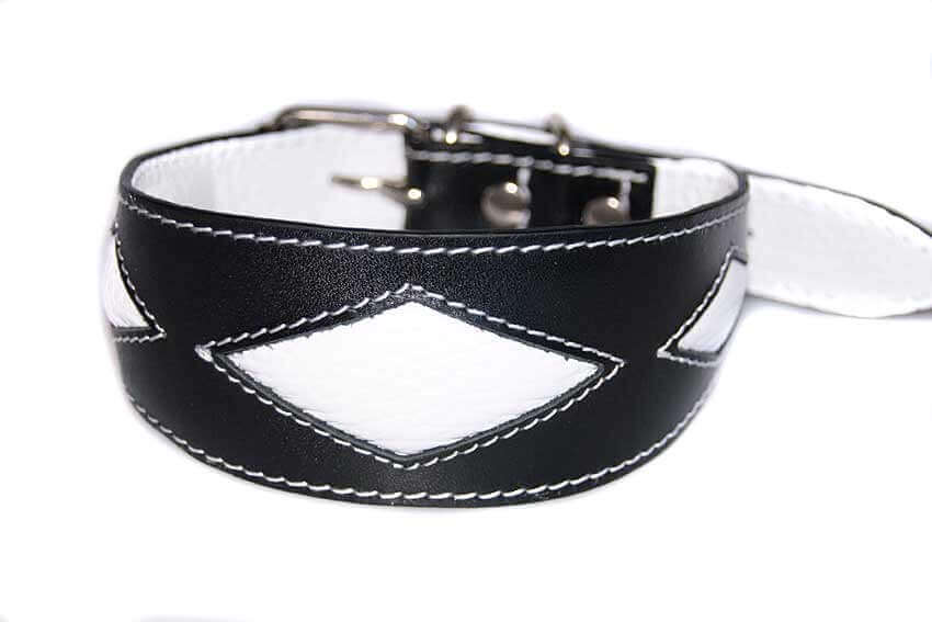 White rhombi hound collar is a popular choice for male sighthound