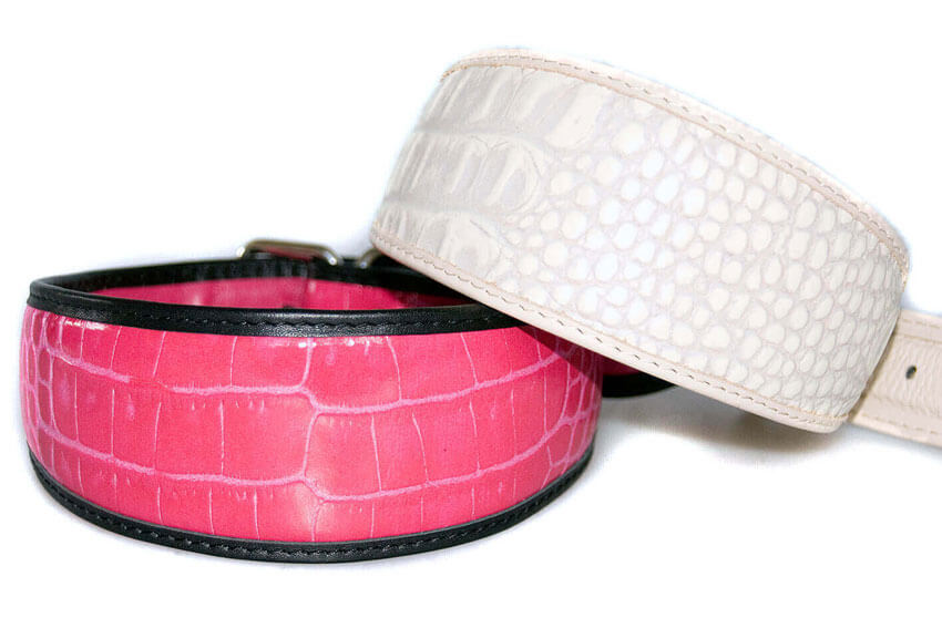Safari range of leather whippet collars